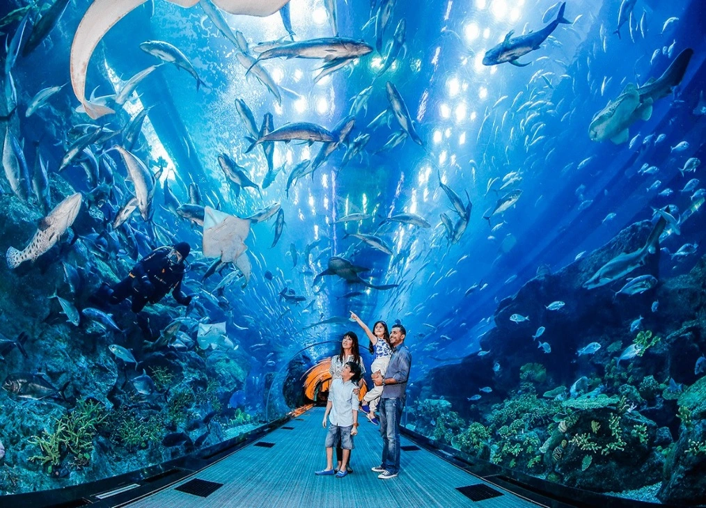 dubai mall aquarium